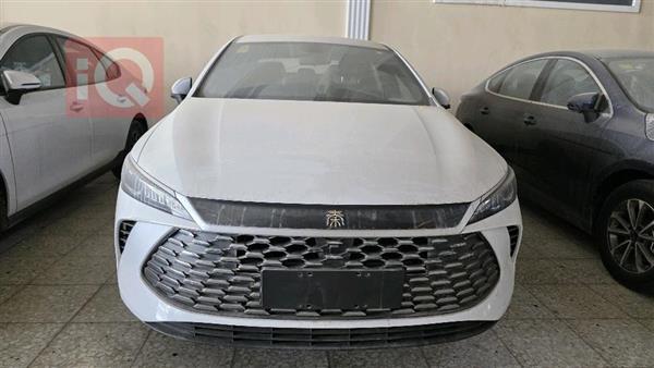 بي واي دي Qin Plus 2025 للبيع في العراق -  بغداد